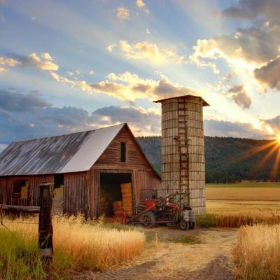 Ferme sous hotes tension 2